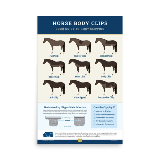 Horse Body Clips Poster