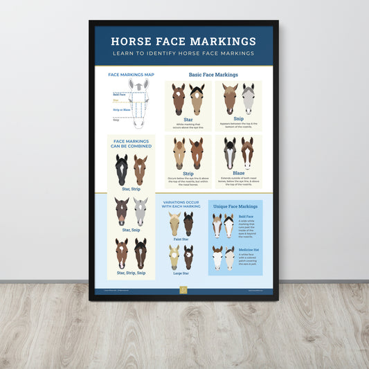 Horse Face Markings Framed Poster