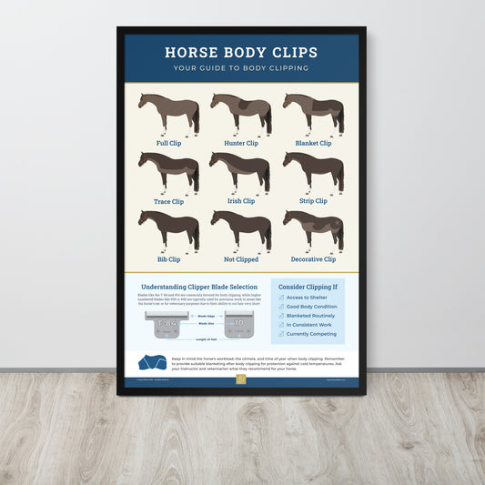 Horse Body Clips Guide Framed Poster