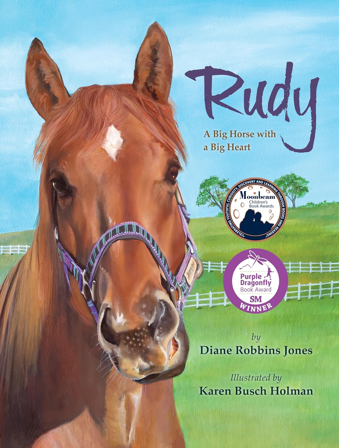 Book Rooster Rudy Rudy Series - The Pony Island